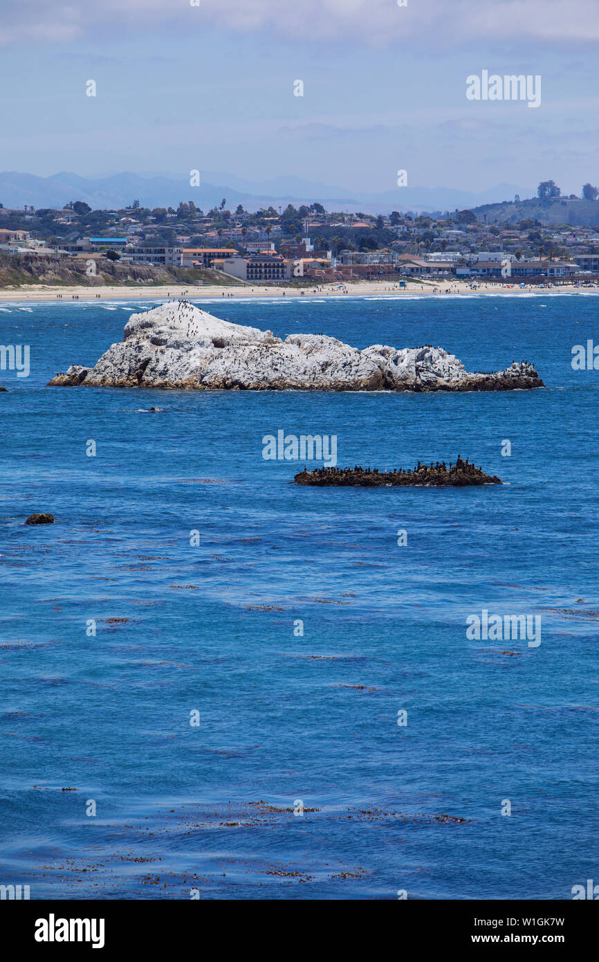 Landscape Rocks in the Ocean in Pismo Beach, San Luis Obispo, California, USA Foto Stock