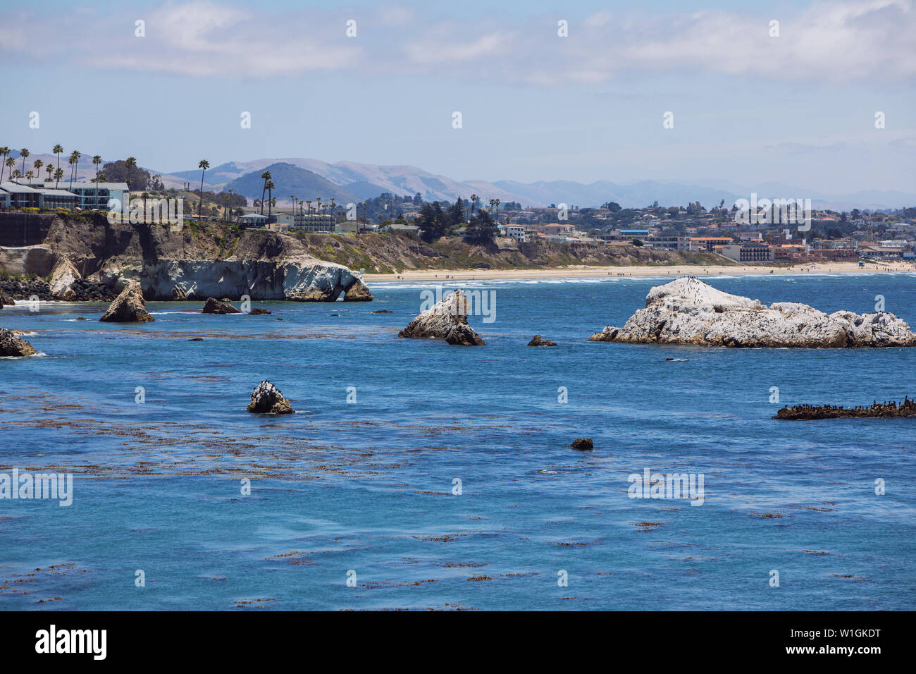 Landscape Rocks in the Ocean in Pismo Beach, San Luis Obispo, California, USA Foto Stock
