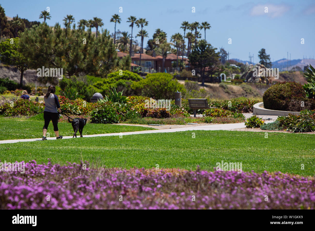 Una donna che cammina il suo cane nel Dinosaur Cave Park Promenade vicino Pismo Beach, San Luis Obispo, California, USA, spara da dietro, nessuna faccia Foto Stock