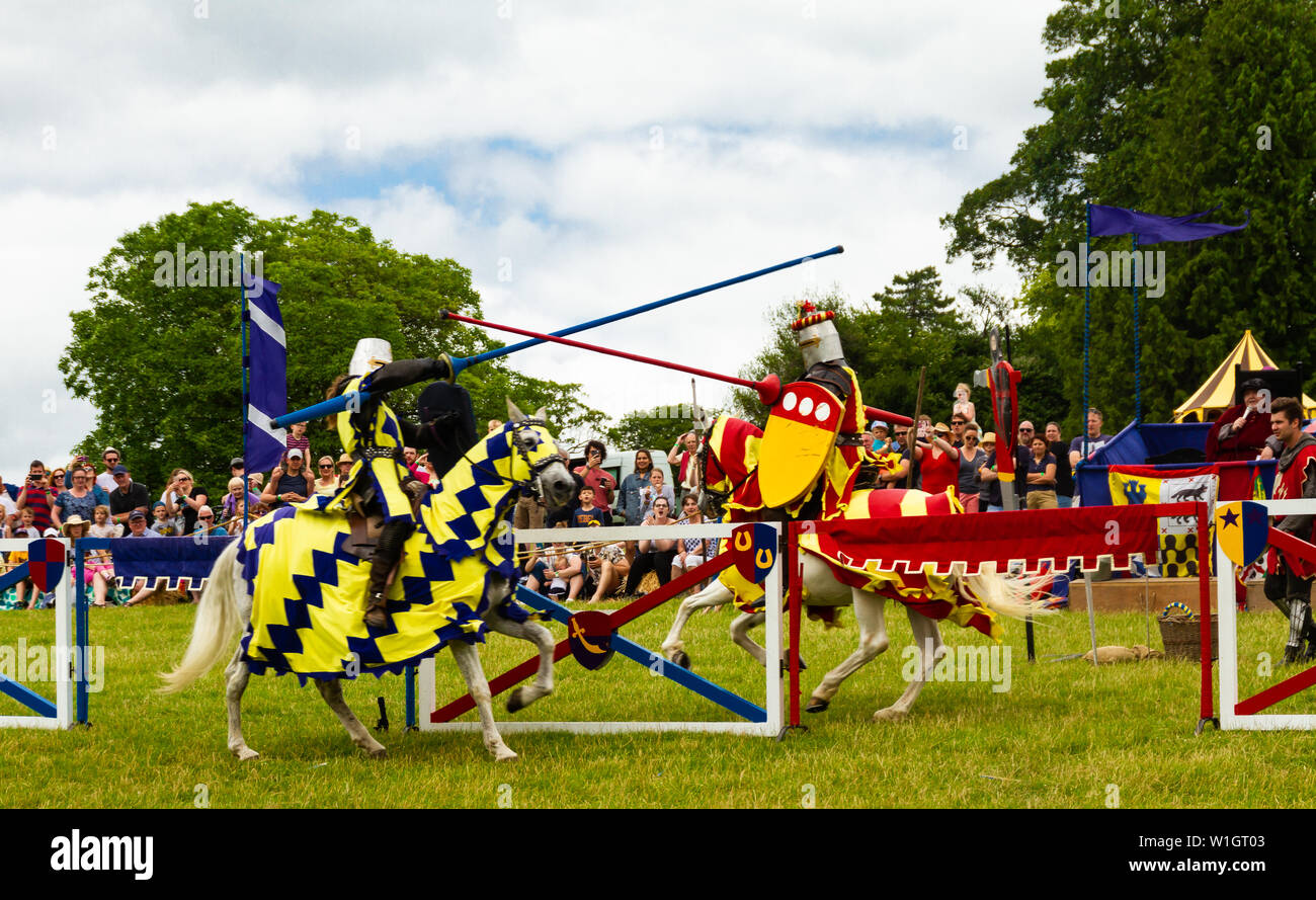 Due cavalieri che si aggirano a cavallo Foto Stock