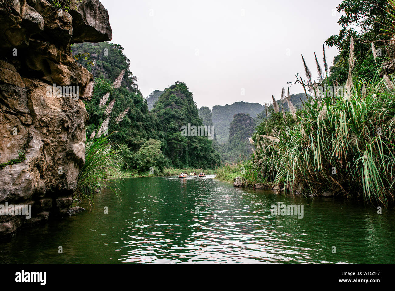 Barca gita della caverna di Trang un paesaggio panoramico formato da torri carsiche e piante lungo il fiume (Patrimonio Mondiale dell'UNESCO). Si tratta di Halong Bay sulla terra di Foto Stock