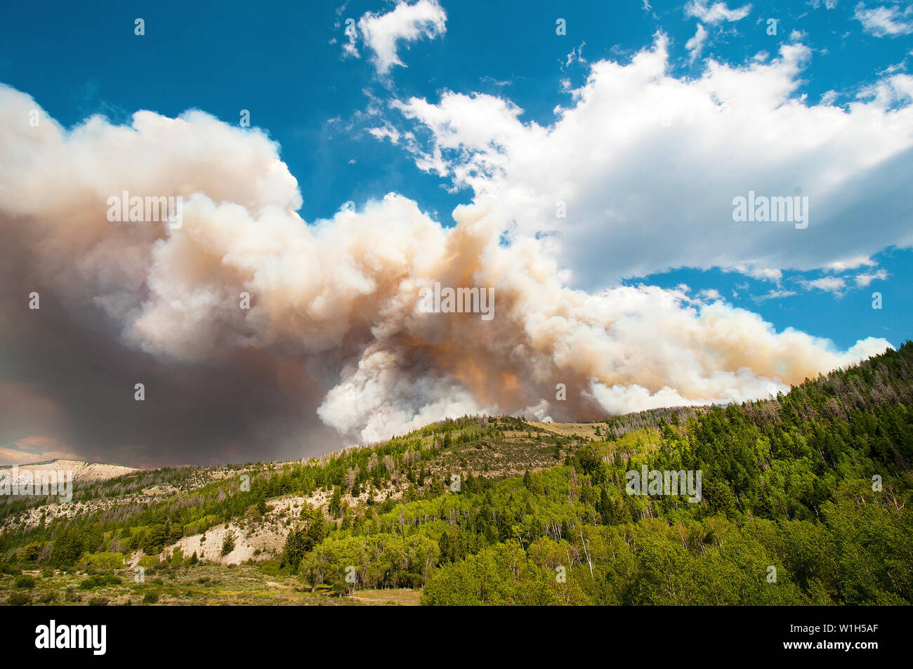 Il fumo flutti migliaia di piedi nel cielo nella Chiesa Camp Fire in Ashley National Forest 22 miglia a sud di Duchesne, Utah sul percorso 191. Il Foto Stock