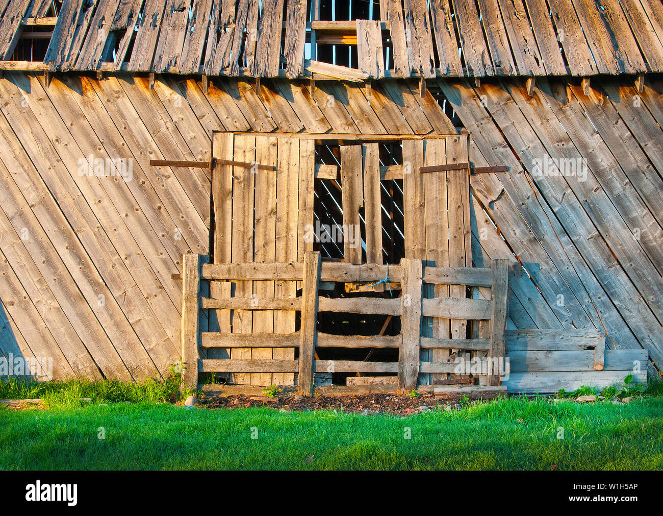 Prima la luce colpisce un vecchio fienile vicino a Midway, Utah, sun luccicante sul vecchio barnwood. (C) 2012 Tom Kelly Foto Stock