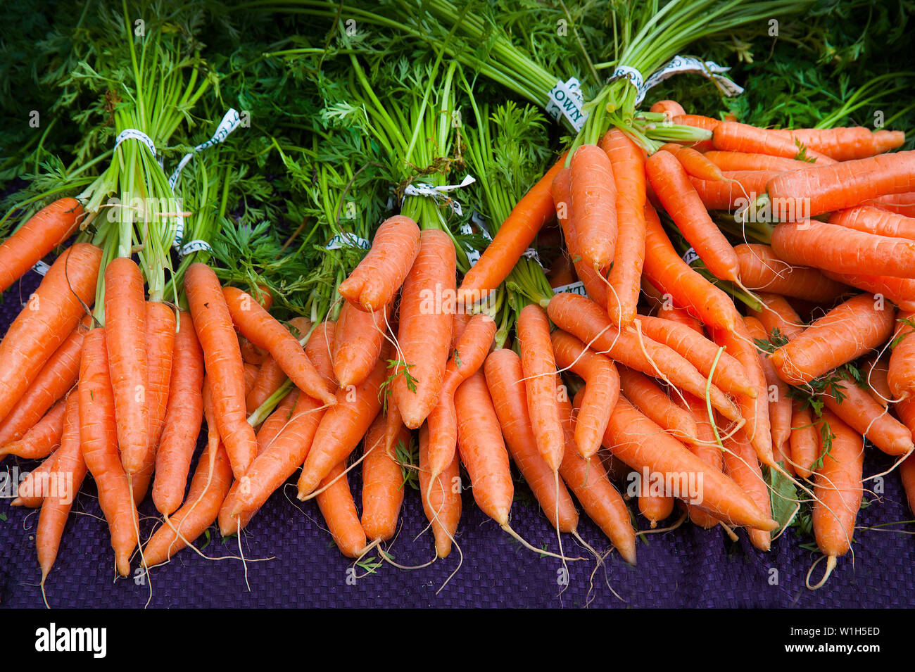 Le carote a Portland Mercato Agricolo a Portland State University in Oregon. (C) 2012 Tom Kelly Foto Stock
