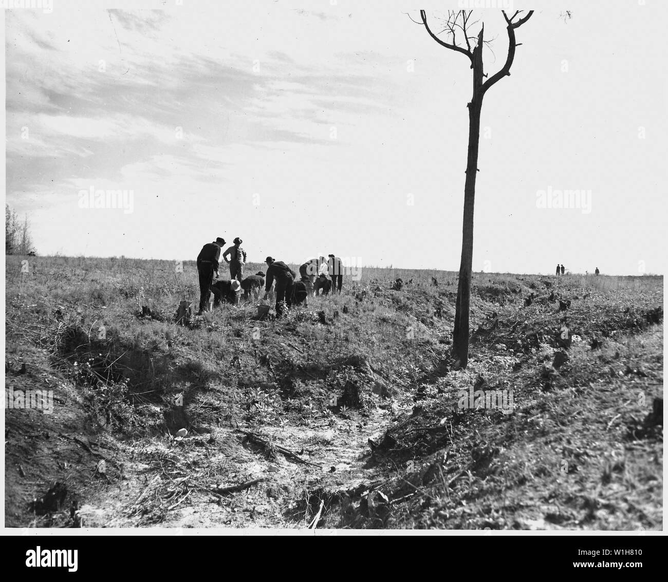 Newberry County, Carolina del Sud. CCC enrollees piantagione kudzu sul burrone sulla banca C. C. cucchiaio's farm. . . .; Portata e contenuto: Full didascalia recita come segue: Newberry County, Carolina del Sud. CCC enrollees piantagione kudzu sul burrone sulla banca C. C. cucchiaio's farm. Questa area che era cresciuto a scrubby alberi è stata cancellata. Entro tre o quattro anni un coperchio di una lussureggiante vegetazione consentirà non solo di erosione di controllo ma fornire eccellenti per il pascolo del bestiame. Foto Stock