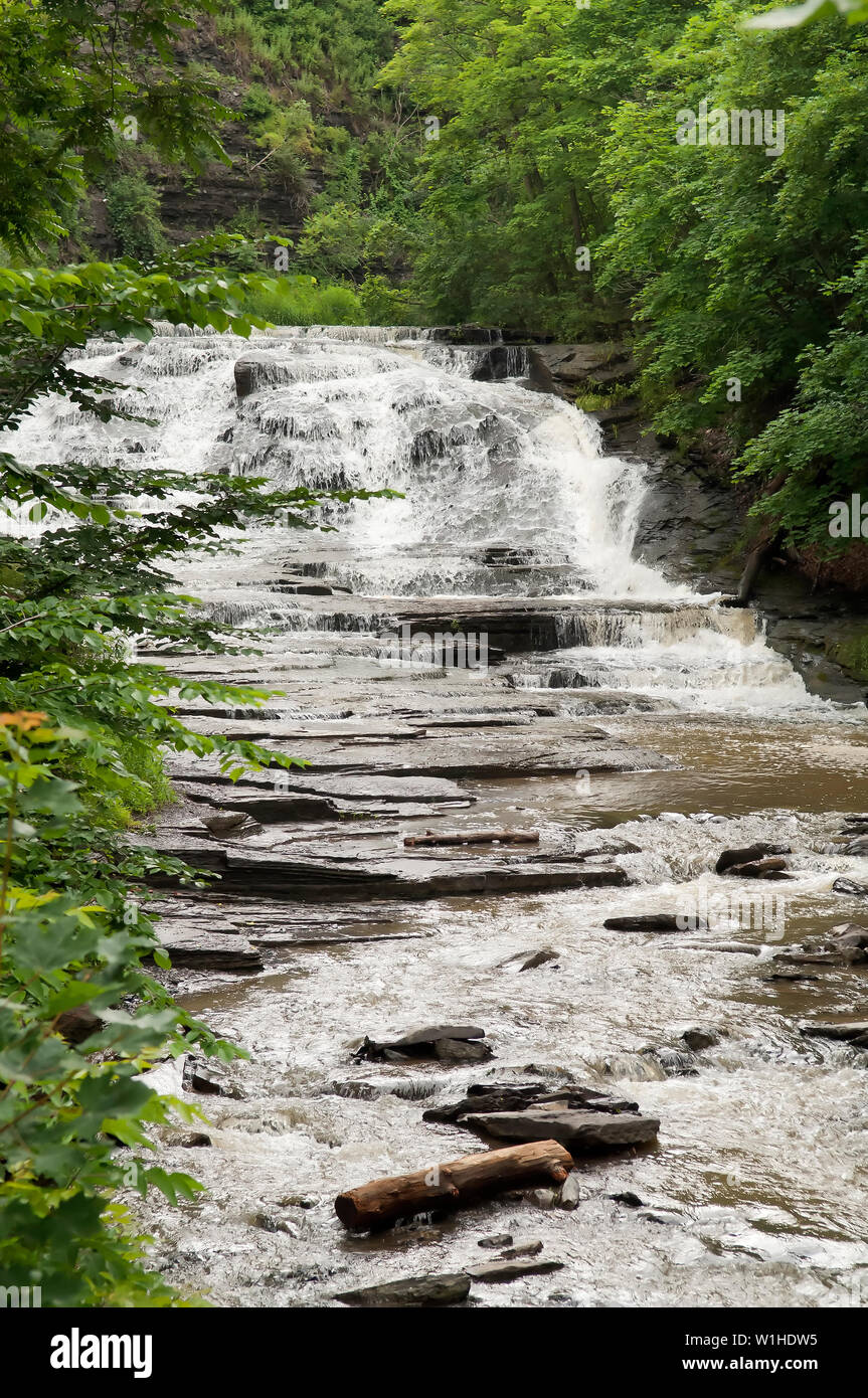 Un ruscello che scorre e cascata di acqua su rocce. Foto Stock