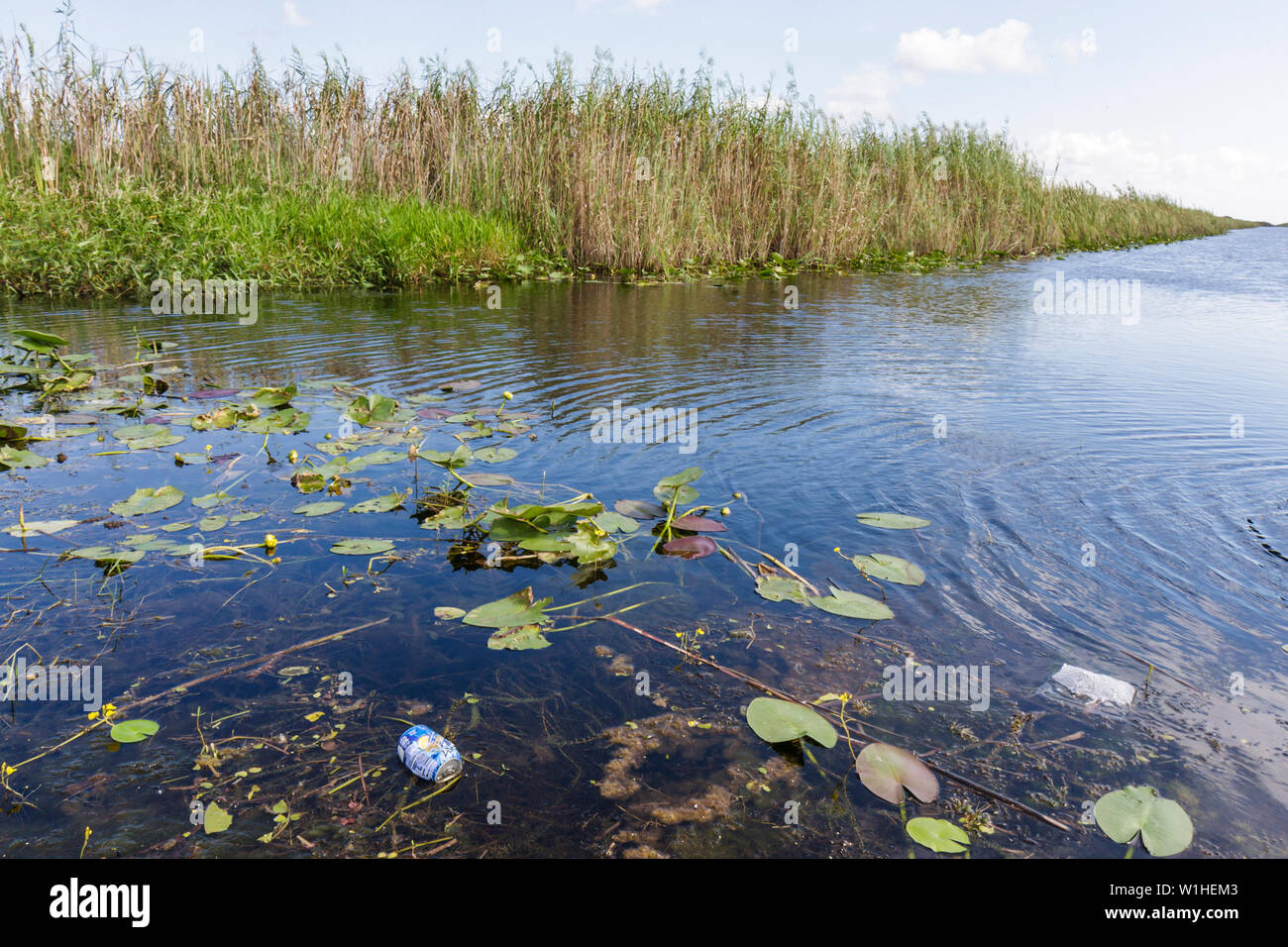 Miami Florida,i 75,Interstate 75,Alligator Alley,le Everglades,canale,erba,sega paludi erba,paludi,ecosistema,drenaggio,inquinamento,lattina di alluminio,rifiuti, Foto Stock