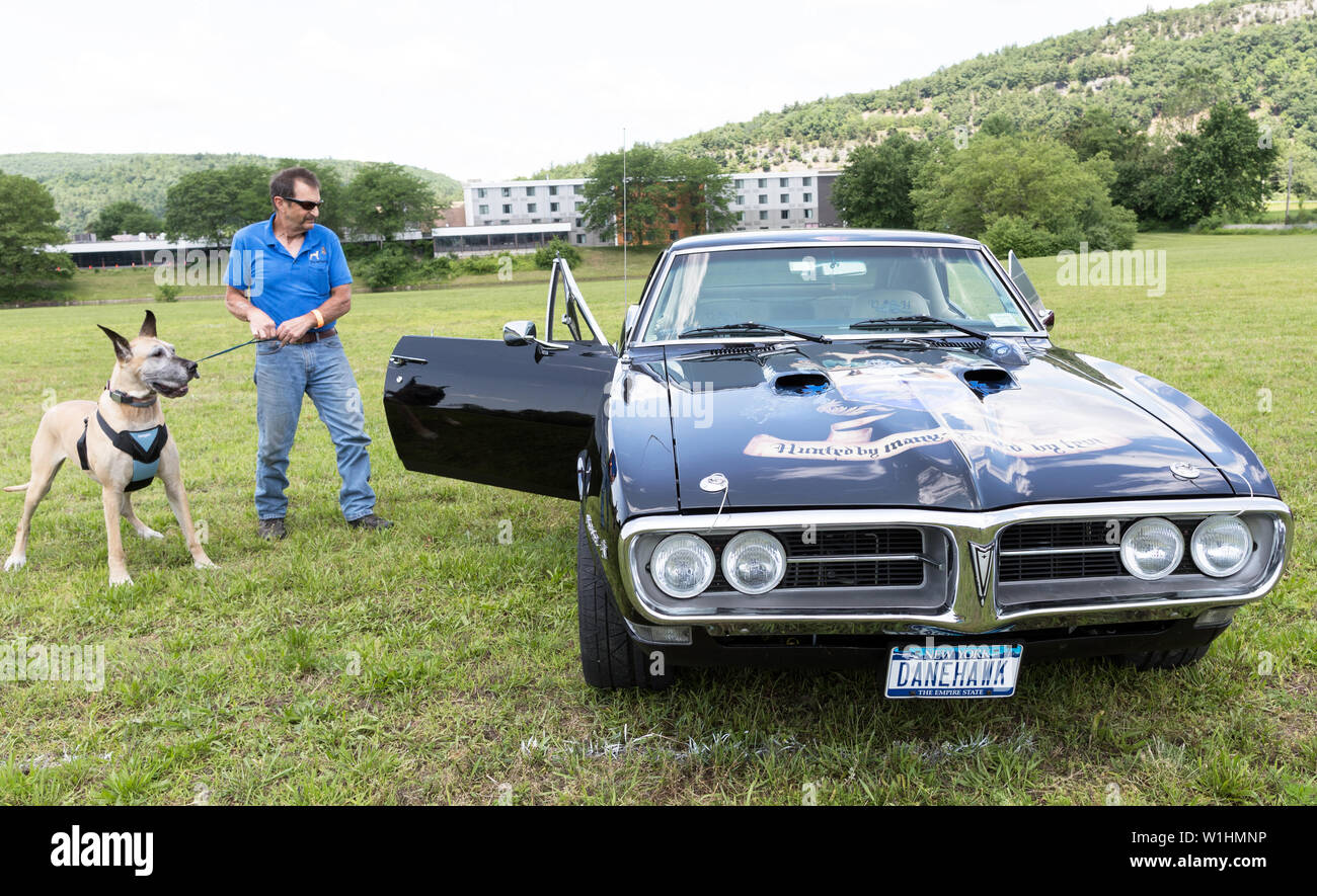 Un 1968 Pontiac Firebird nello Stato di New York STATI UNITI D'AMERICA Foto Stock