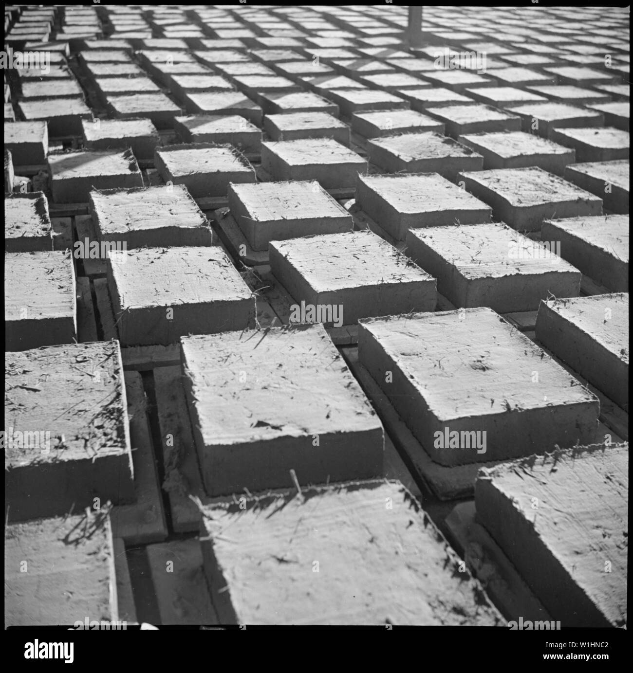 Poston, Arizona. Adobe fabbrica. Rack di asciugatura Foto Stock