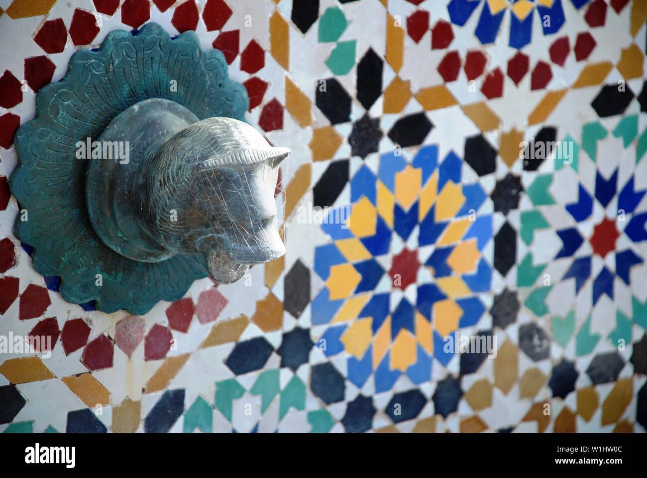 Parco Nazionale Dandenong Ranges Olinda Victoria - piante e fiori Foto Stock