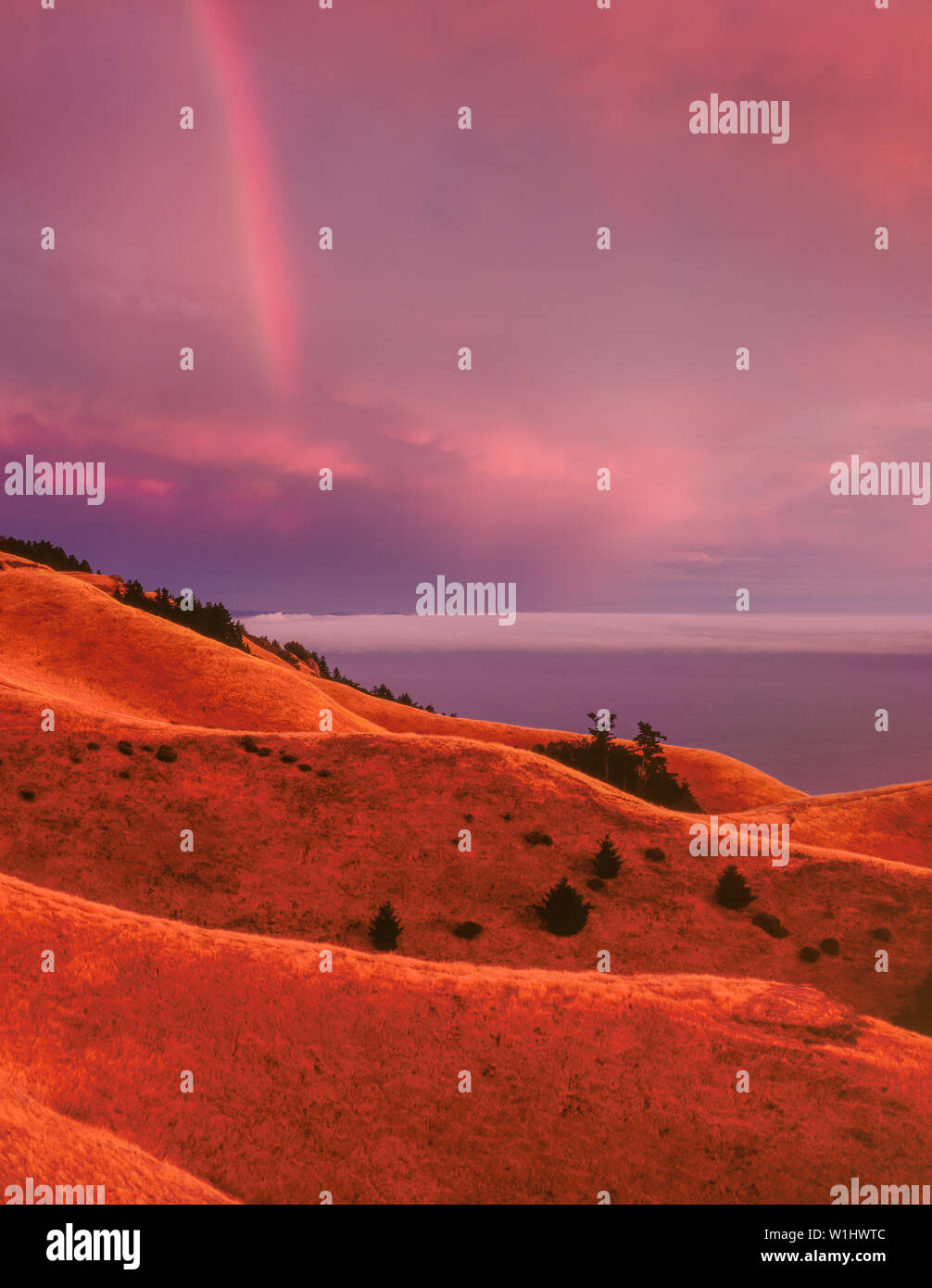 Rainbow, Bolinas Ridge, Monte Tamalpais State Park, Golden Gate National Recreation Area, Marin County, California Foto Stock