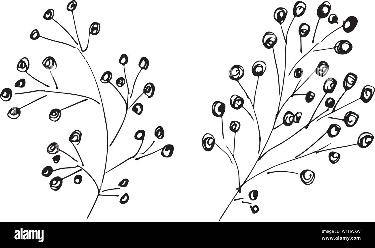 Disegnata a mano illustrazioni vettoriali astratto del set di foglie isolato su bianco. Disegnata a mano schizzo di foglie. Illustrazione Vettoriale