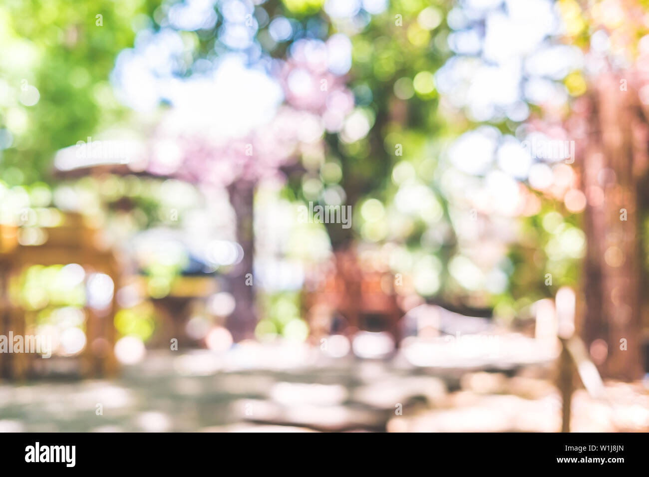 La sfocatura sullo sfondo di un giardino con alberi bokeh di fondo verde luce nella giornata di sole Foto Stock