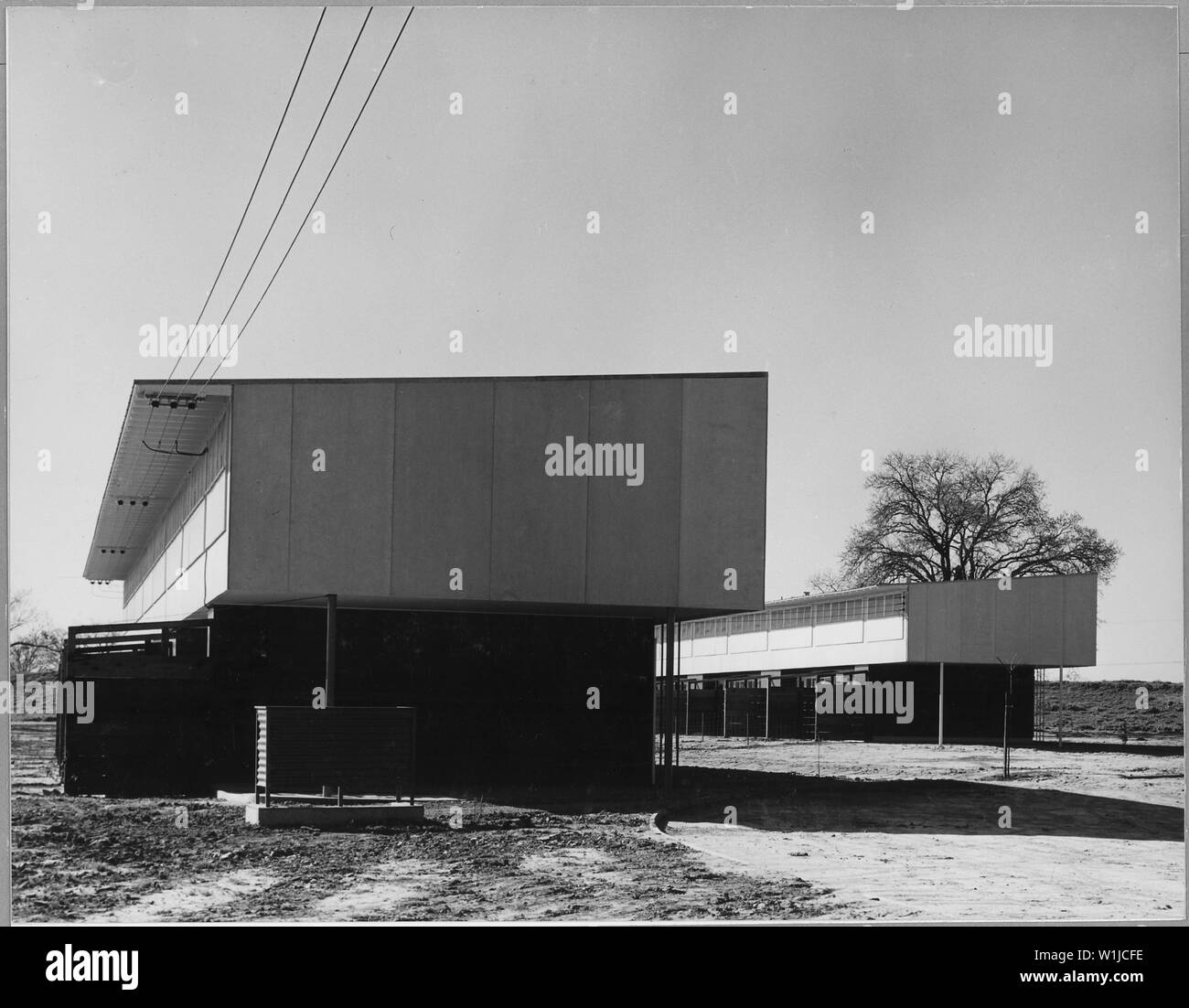 Sutter County, vicino Yuba City, California. Più abitazioni del Yuba City i lavoratori agricoli C . . .; Portata e contenuto: Full didascalia recita come segue: Sutter County, vicino Yuba City, California. Più abitazioni del Yuba City i lavoratori agricoli comunità (F.S.A.). Costruzione appena completato di sei unità per famiglie, i membri della quale sono costantemente impiegato nelle vicinanze; nota l'eliminazione di pali del telefono. Foto Stock