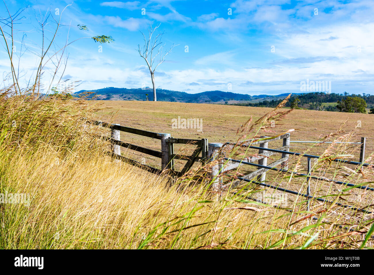 Il rurale paesaggio australiano con un cancello e recinzioni in primo piano. Foto Stock