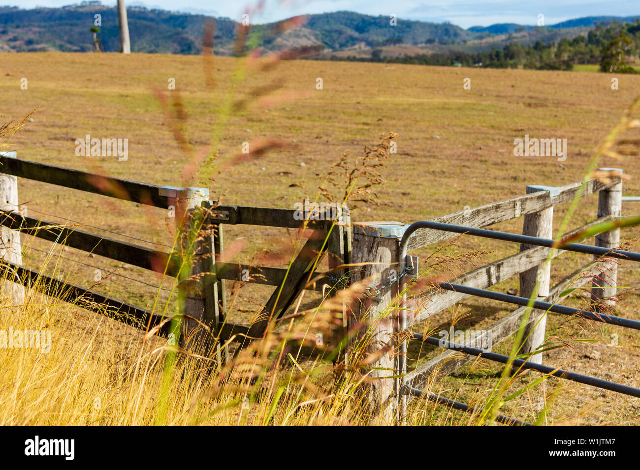 Il rurale paesaggio australiano con un cancello e recinzioni in primo piano. Foto Stock