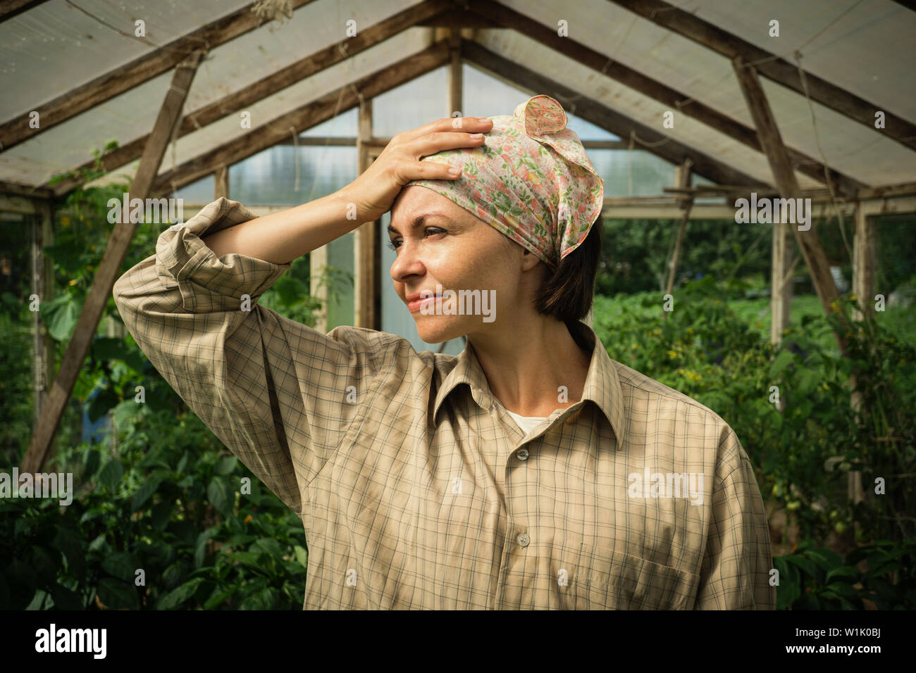 Foto di orinato stanco giardiniere donna in piedi su piante di pomodoro in serra Foto Stock