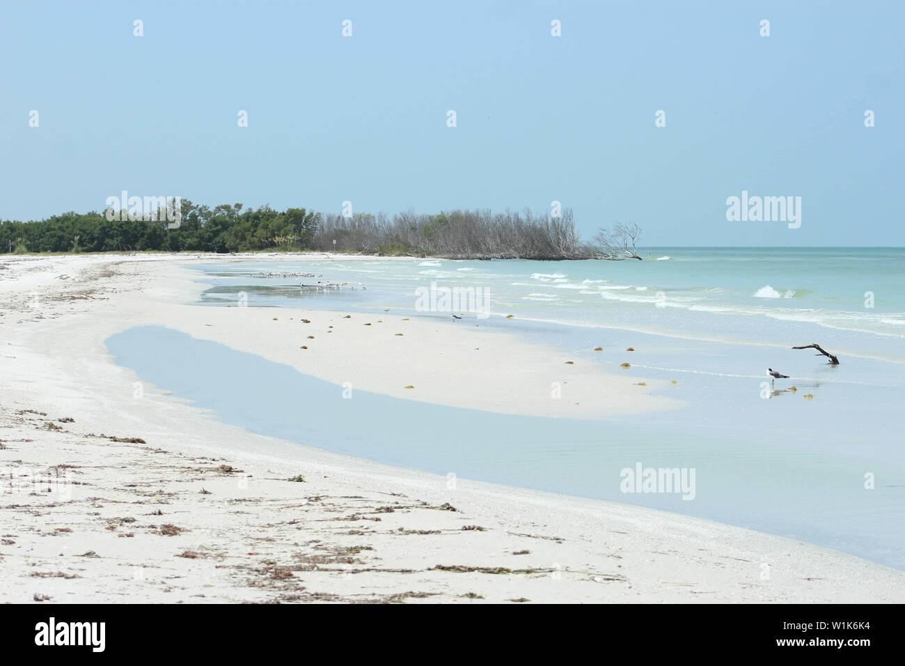 Fort De Soto Park Florida USA Foto Stock