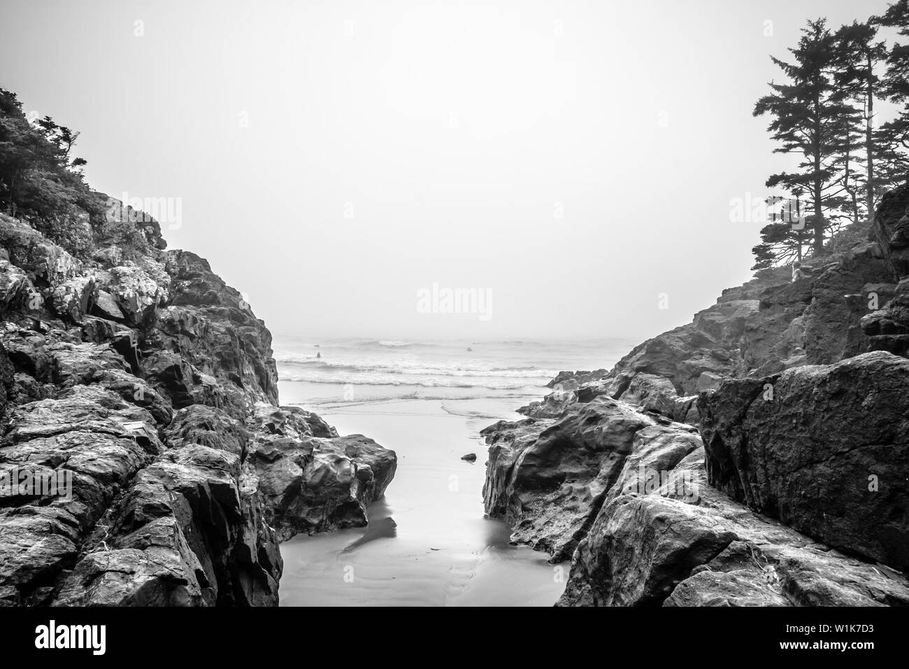 Uno dei colpi dal nostro recente viaggio a Tofino, British Columbia che mostra la bellezza selvaggia del Canada del west coast. È stato un giorno di nebbia, ma è c Foto Stock