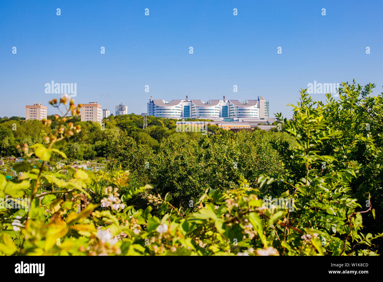 BIRMINGHAM, Regno Unito - Luglio 03, 2019: Vista della Queen Elizabeth Hospital Birmingham da Harborne Lane Foto Stock