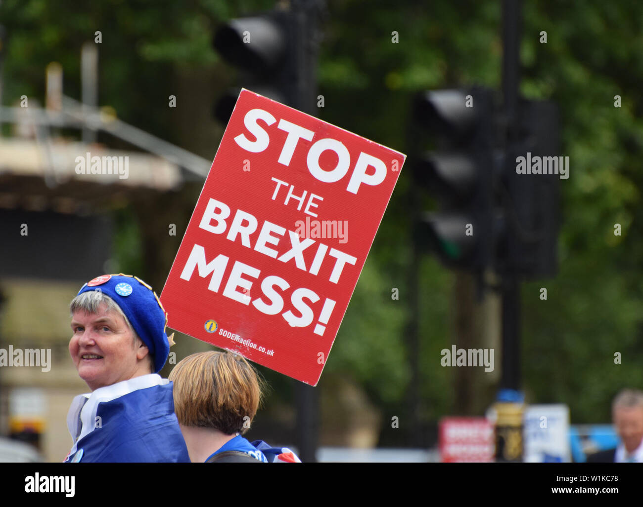 Una signora che partecipa a una manifestazione anti-Brexit nel 2019 a Londra con un cartello che dice “Stop the Brexit Mess” Foto Stock