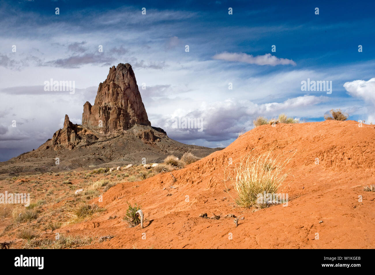 Un imponente monumento di roccia punti verso il cielo dal deserto contro una tempesta nel tardo pomeriggio sky tra Kayenta, Arizona e Monument Valley. (C) 2011 Tom Foto Stock