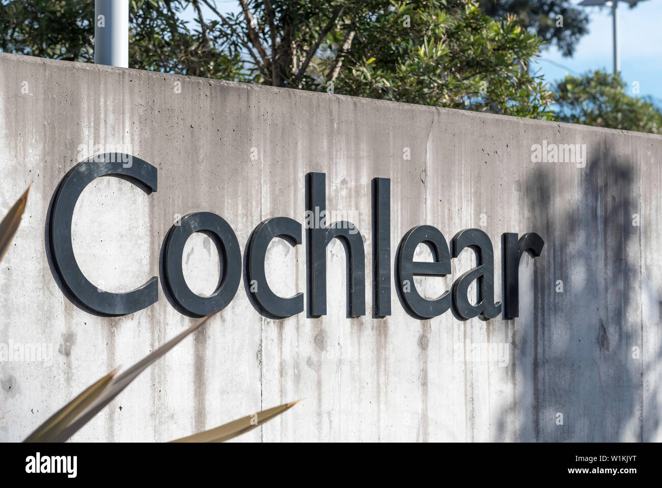 Il nome cocleare su un muro di cemento al di fuori della sede nel Nuovo Galles del Sud, Australia a 1 università Ave, Macquarie Park NSW 2109 Foto Stock