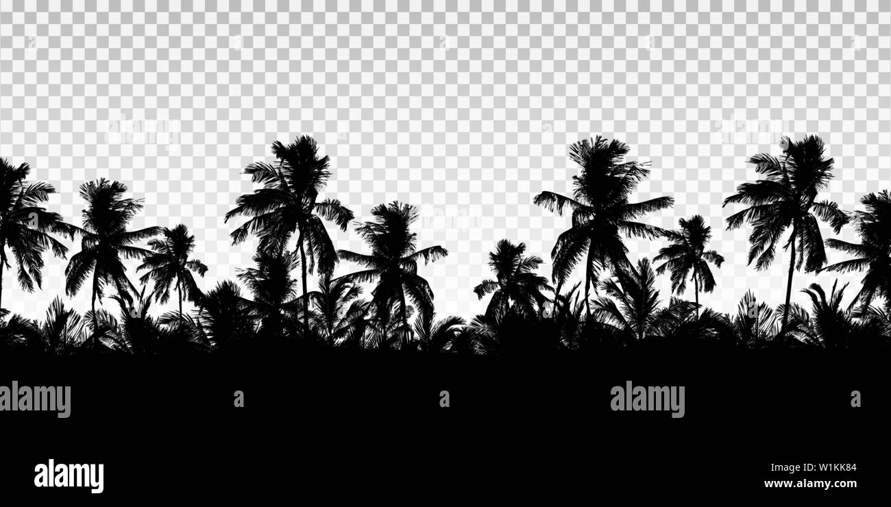 Illustrazione realistica di un orizzonte da cime di alberi di palma. Isolato nero su sfondo trasparente con lo spazio per il tuo testo - vettore Illustrazione Vettoriale