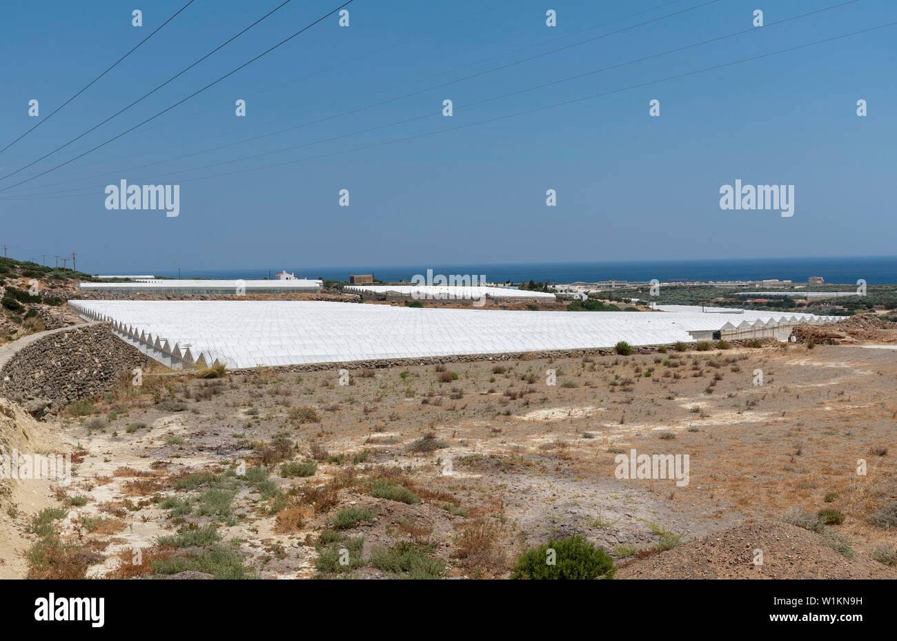 Ierapetra, Creta, Grecia. Giugno 2019. Plastica area coperta per la coltivazione di colture, pomodori, cetrioli e peperoni. Foto Stock