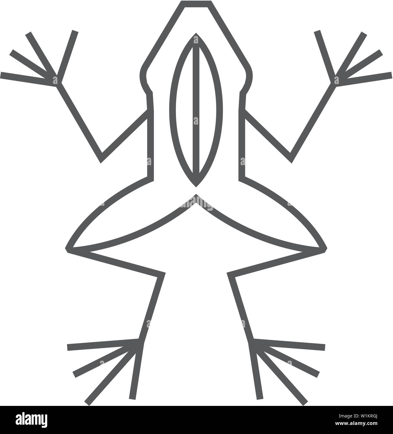 Laboratorio di icona di rana nel contorno sottile stile. Esperimento di scuola lezione di biologia studio Illustrazione Vettoriale