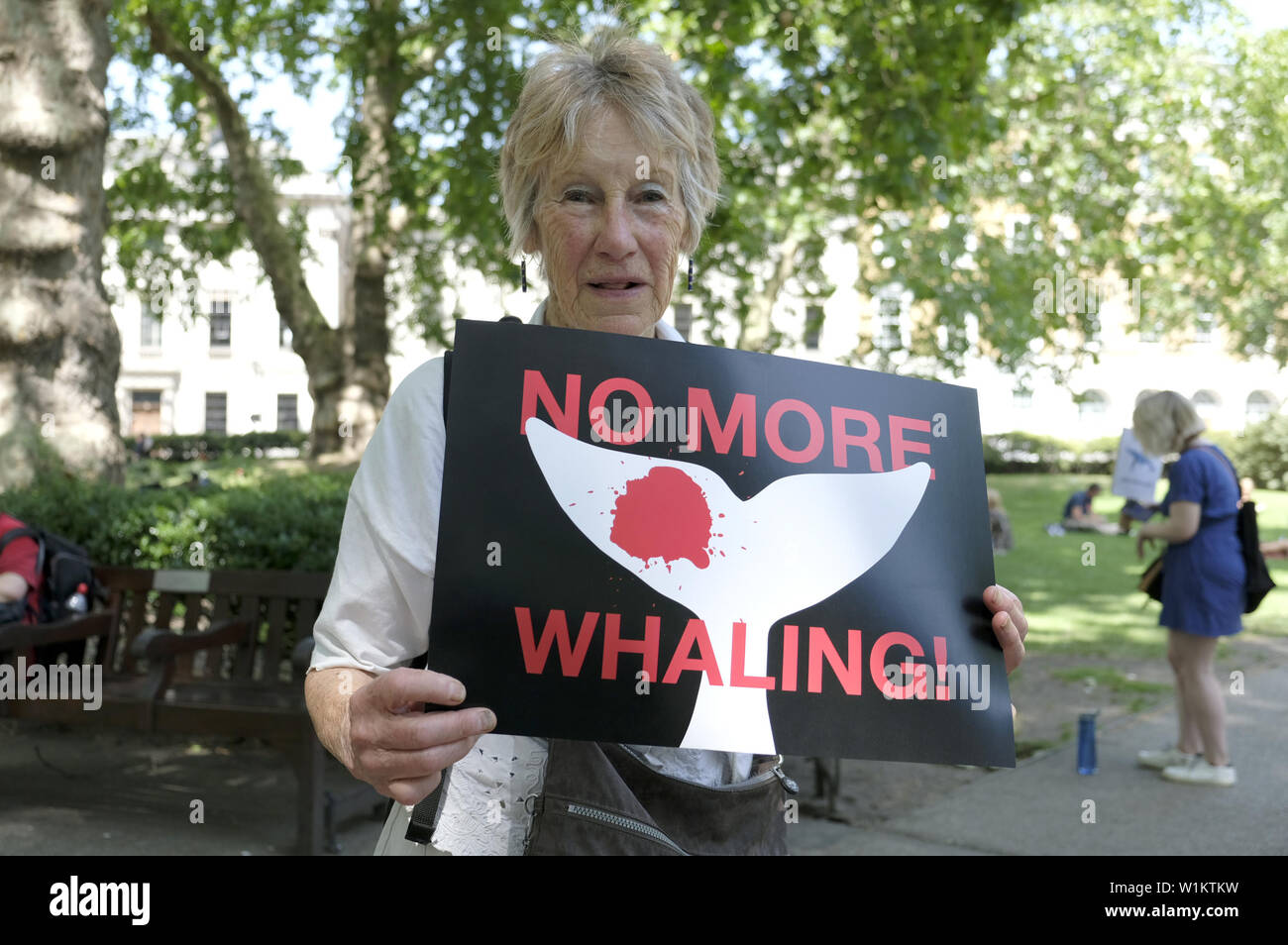 London, Greater London, Regno Unito. Il 29 giugno, 2019. Un attivista detiene un cartello che dice che non più di caccia alle balene durante la marcia globale per le balene a Londra.anti-caccia alla balena gli attivisti si sono riuniti a Londra per protestare contro il Giappone per prelevare dalla Commissione baleniera internazionale (IWC) e commerciale di riprendere la caccia alla balena. Essi chiedono il Giappone, Islanda e Norvegia al fine della caccia alla balena. Credito: Andres Pantoja/SOPA Immagini/ZUMA filo/Alamy Live News Foto Stock