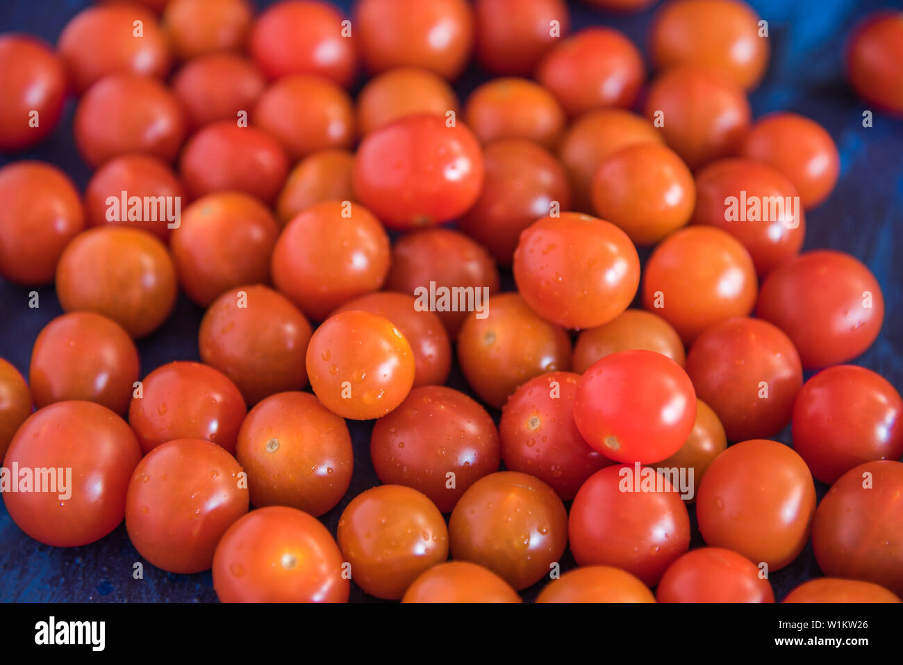 Freschi pomodori ciliegia su una tonalità blu sullo sfondo Foto Stock