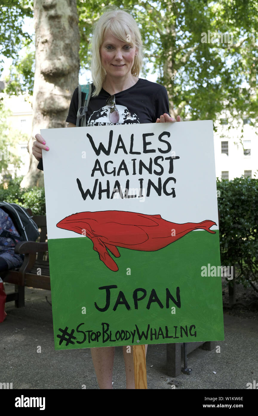 Giugno 29, 2019 - Londra Greater London, Regno Unito - Un attivista detiene un cartello che dice che il Galles contro la caccia alle balene durante la marcia globale per le balene a Londra..anti-caccia alla balena gli attivisti si sono riuniti a Londra per protestare contro il Giappone per prelevare dalla Commissione baleniera internazionale (IWC) e commerciale di riprendere la caccia alla balena. Essi chiedono il Giappone, Islanda e Norvegia al fine della caccia alla balena. (Credito Immagine: © Andres Pantoja/SOPA immagini via ZUMA filo) Foto Stock