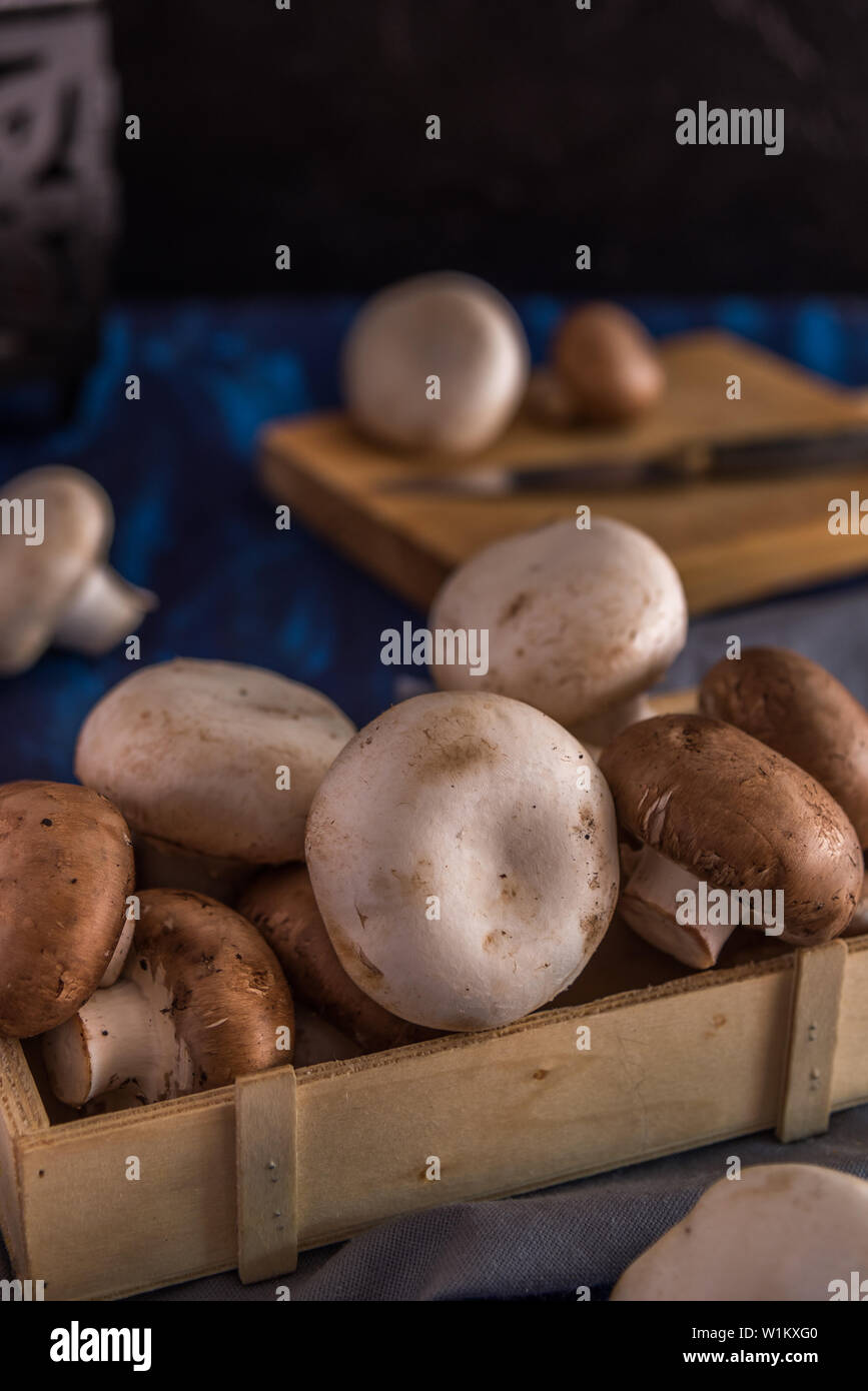 Funghi su uno sfondo blu Foto Stock