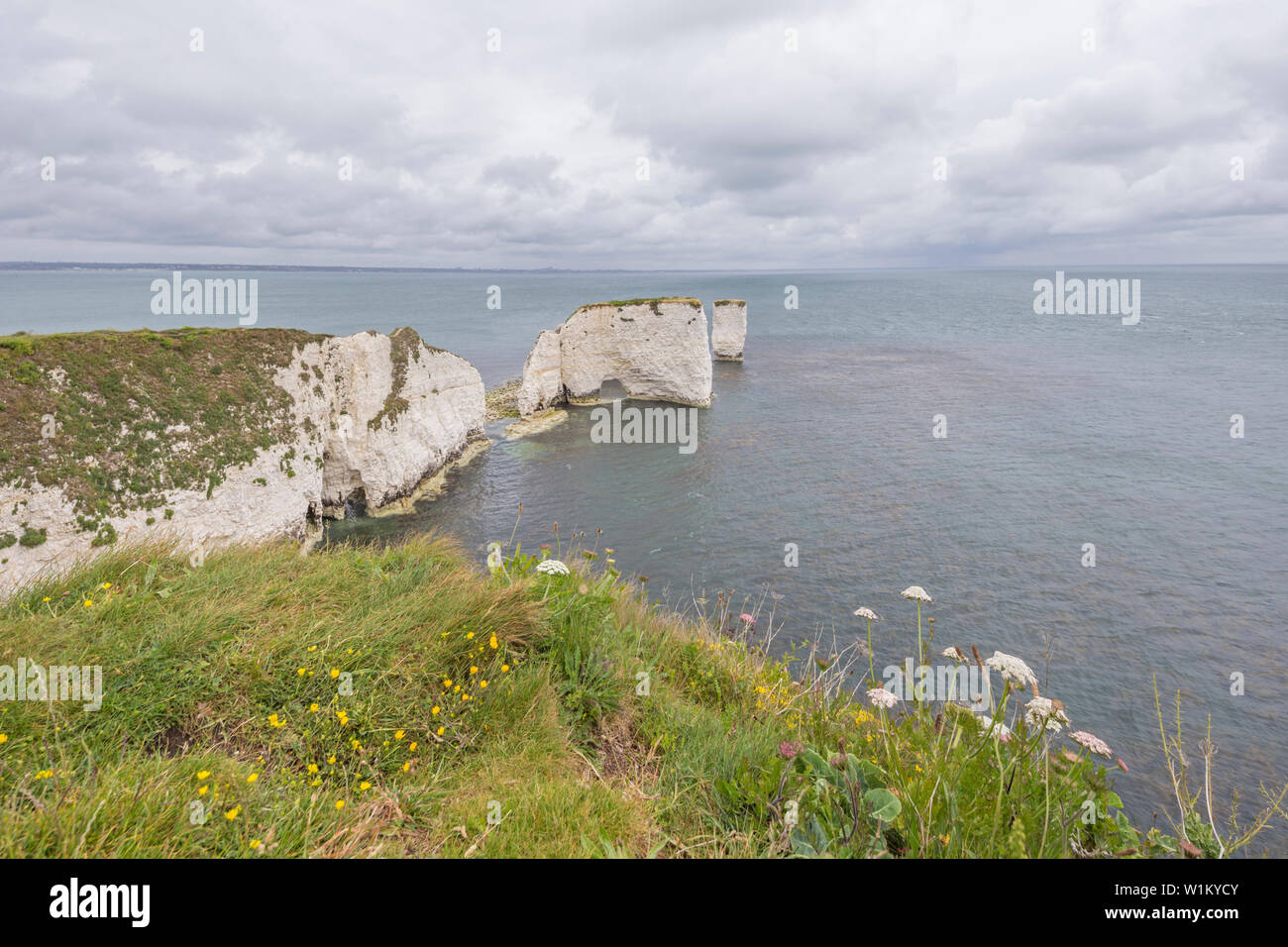 Vecchio Harry rocce al punto Handfast, Isle of Purbeck, Jurassic Coast, un sito Patrimonio Mondiale dell'UNESCO nel Dorset, England, Regno Unito Foto Stock