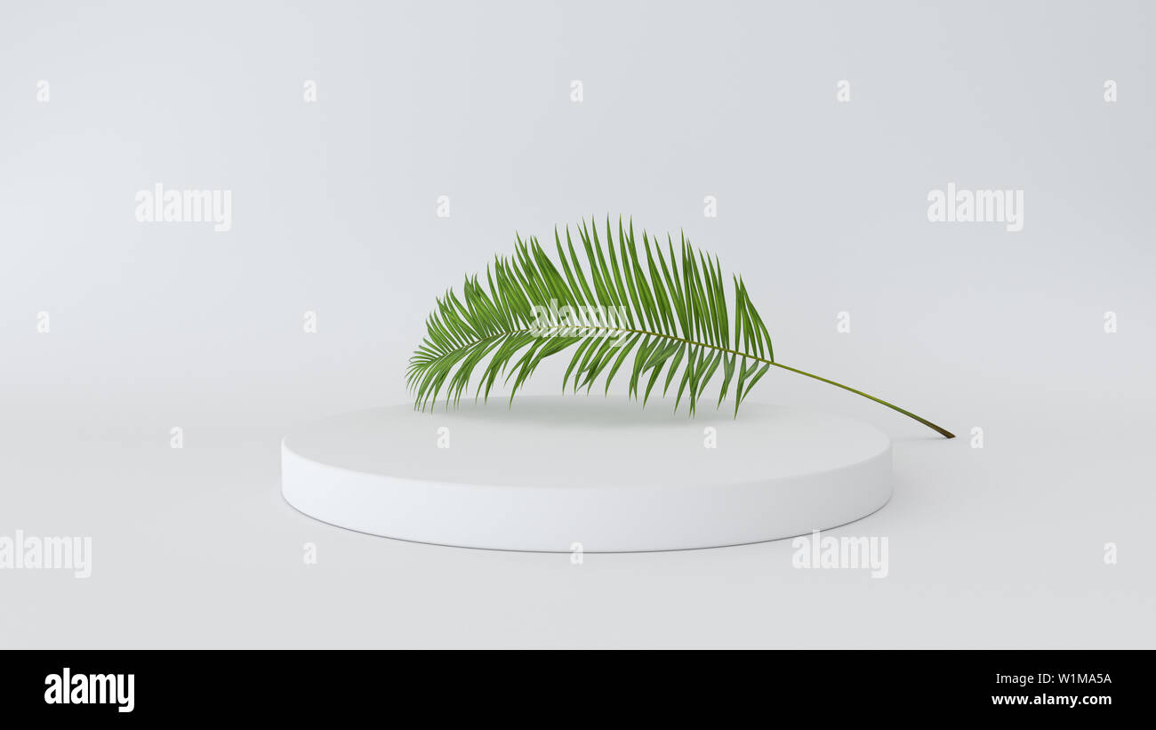 3D render di astratta della piattaforma con palm lasciare. Figure geometriche in moderno design minimale. Simulazione realistica per la visualizzazione del prodotto Foto Stock