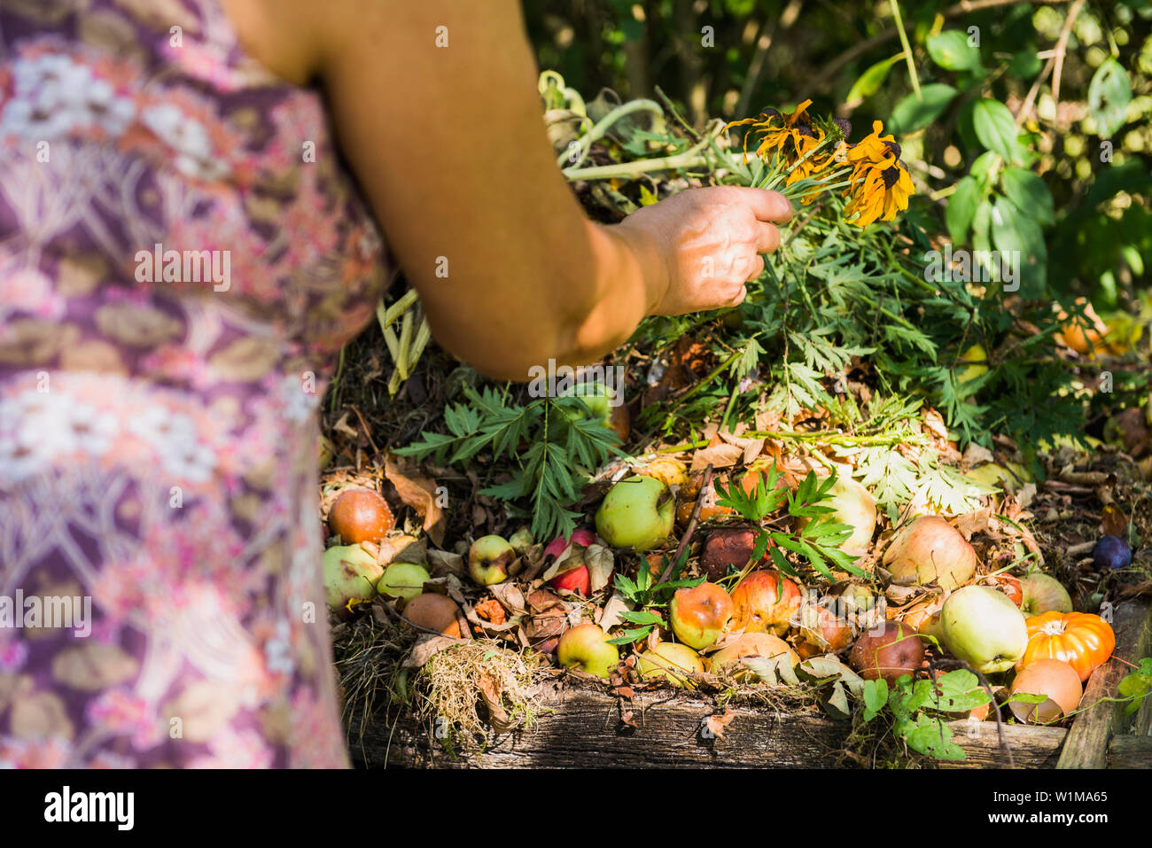 Donna Senior in un giardino con composto ammucchi, Altötting in Baviera, Germania Foto Stock