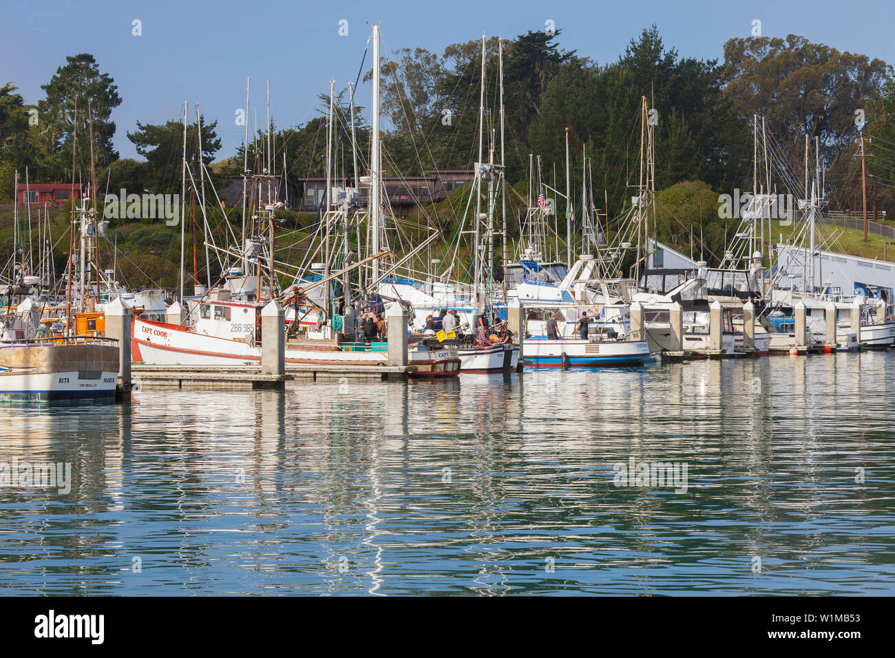 Barca a bodega bay immagini e fotografie stock ad alta risoluzione Alamy