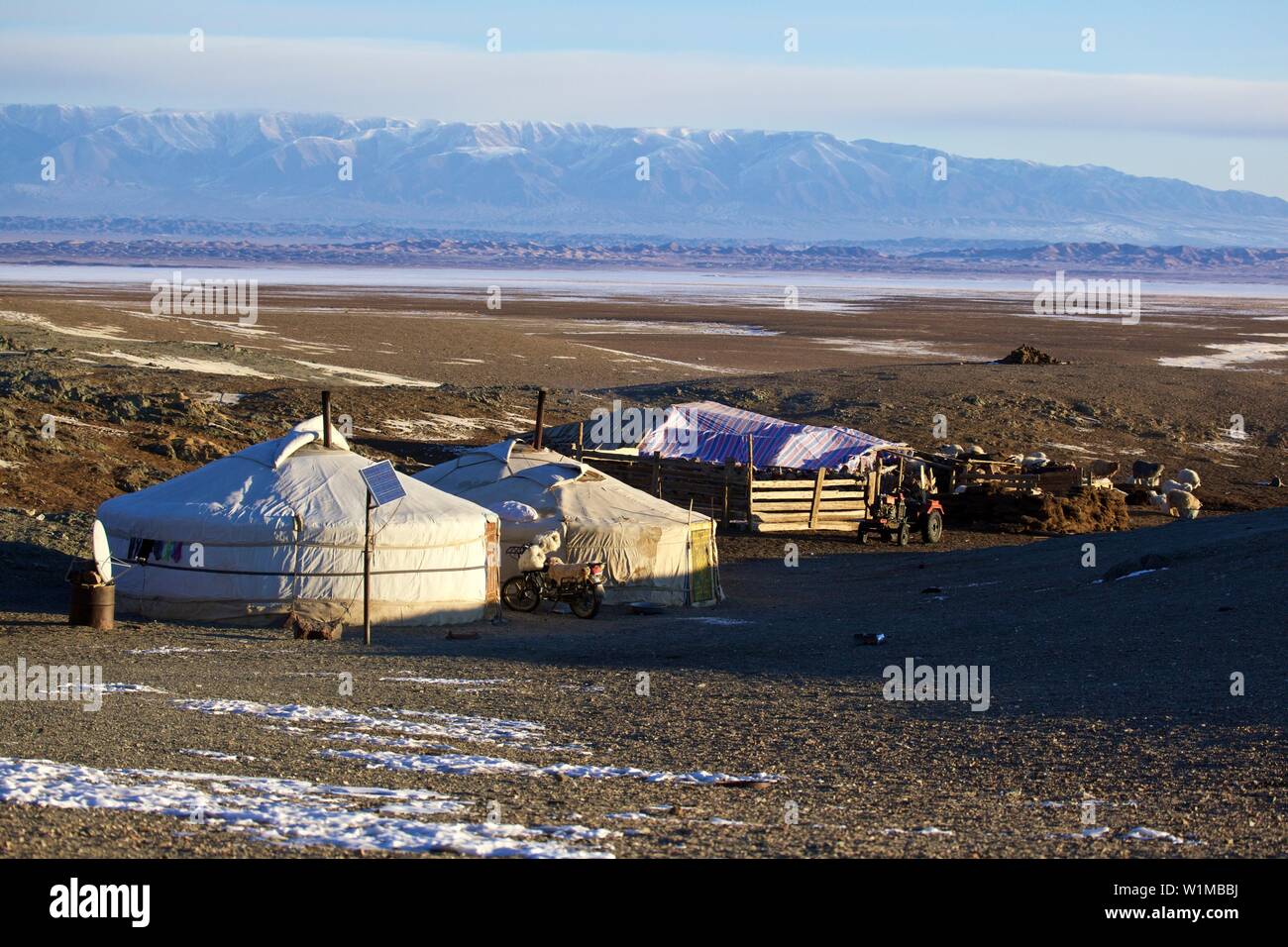 Winter camp di nomadi Mongoli nel deserto del Gobi, Mongolia Foto Stock