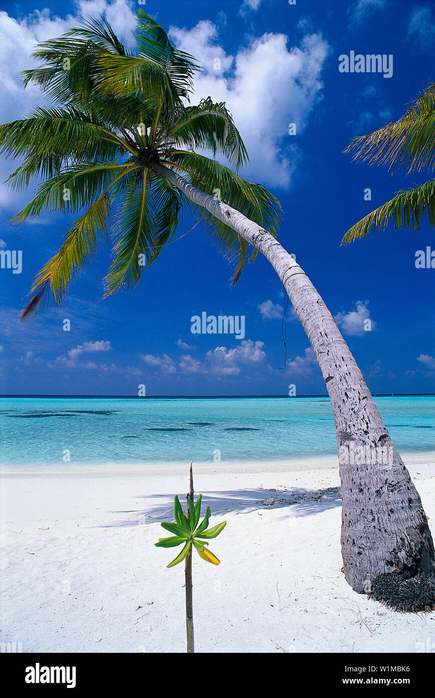 Spiaggia, Four Seasons Resort, Kuda Hurra Maledive Isola Foto Stock