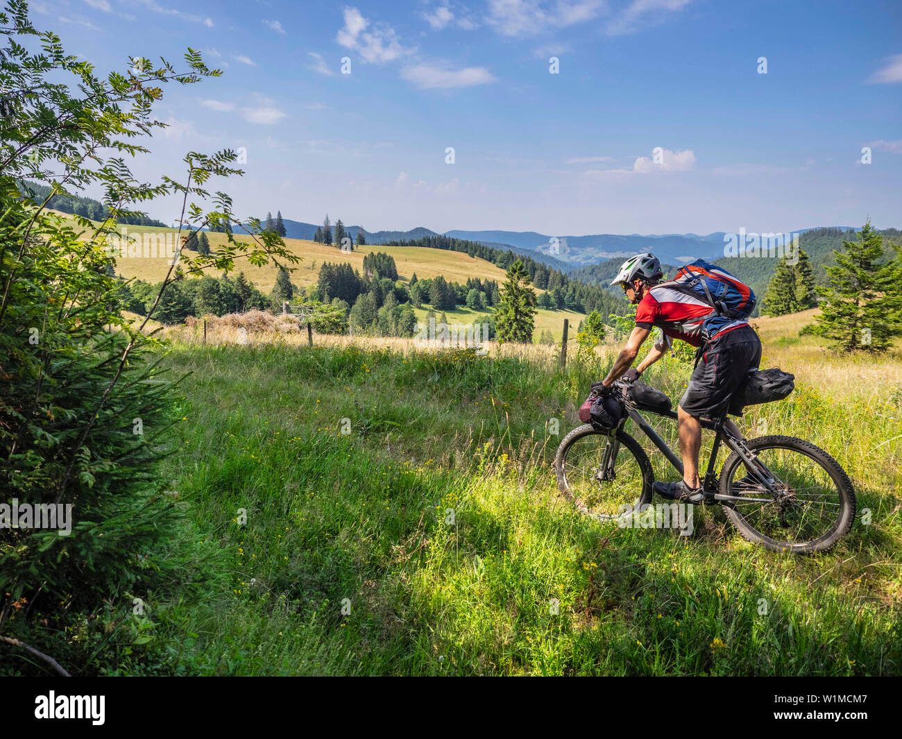 Mountain bike Escursioni in bicicletta attraverso la foresta, vicino a Todtnau, Baden Württemberg, Germania Foto Stock