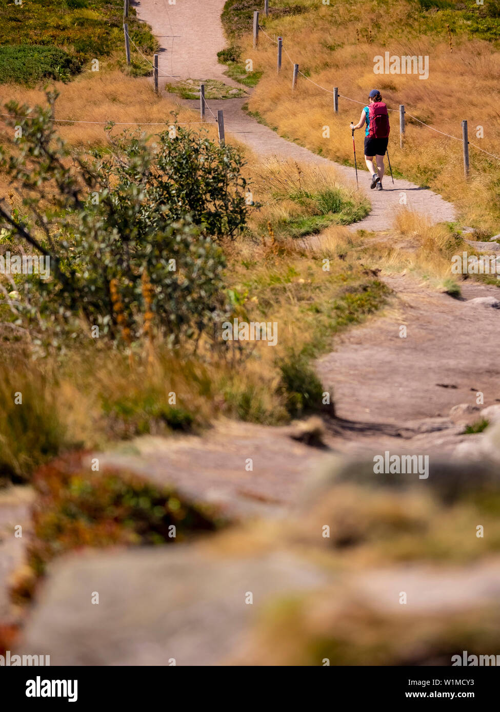 Vista posteriore delle donne escursionismo su rocce sulla corsia di avvolgimento a Gazon du Faing, Francia Foto Stock