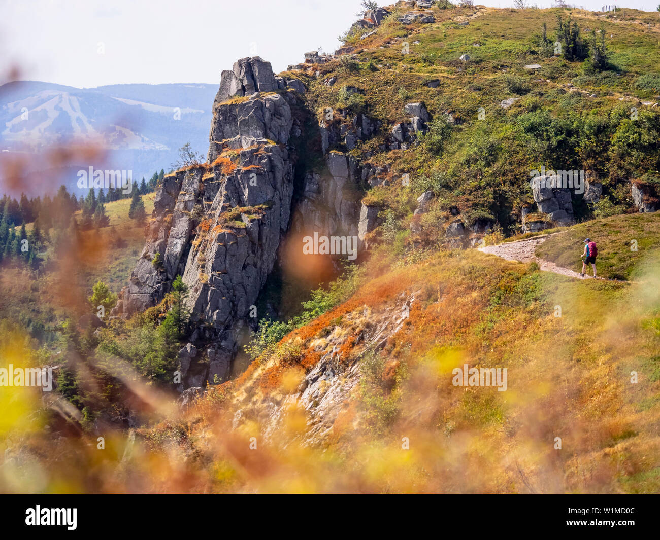 Vista posteriore delle donne escursioni in montagna rocciosa dei Vosgi a Gazon du Faing, Francia Foto Stock