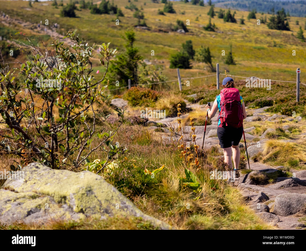 Vista posteriore delle donne con zaino escursionismo su sentiero roccioso a Gazon du Faing, Francia Foto Stock
