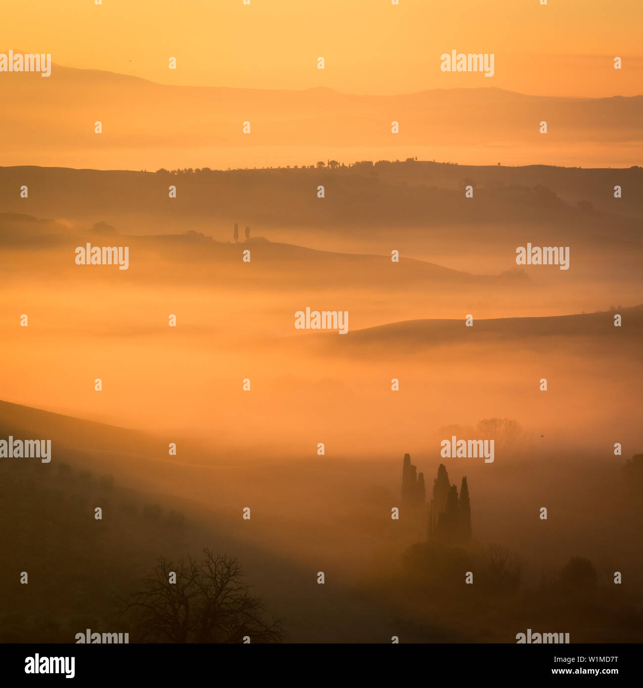 La bellissima valle in Toscana è pieno con nebbia a questo mistico sunrise a San Quirico d'Orcia, Italia. Picchi di montagna e le gamme riempire il golden foto con ombre e punti di luce. Foto Piazza Foto Stock