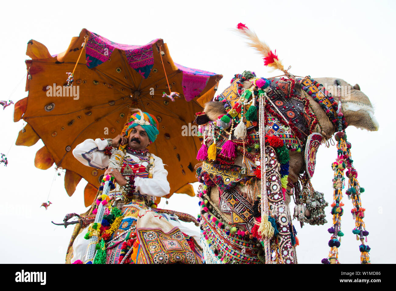 Indian maschio su un splendidamente decorate di cammello, Desert Festival in Jaisalmer, Rajasthan, India Foto Stock