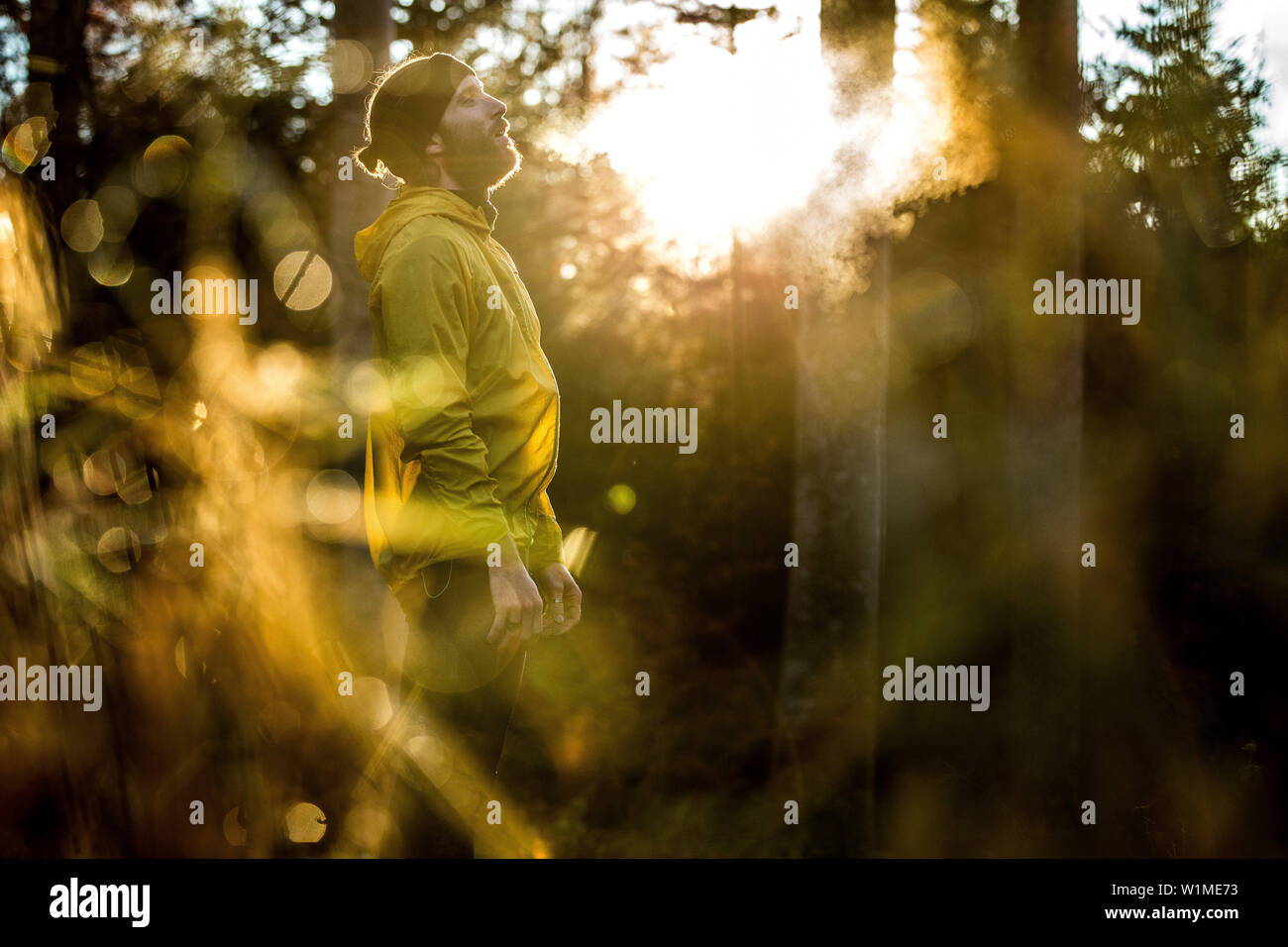 Giovani runner maschio avente una breve pausa in una foresta, Allgaeu, Baviera, Germania Foto Stock