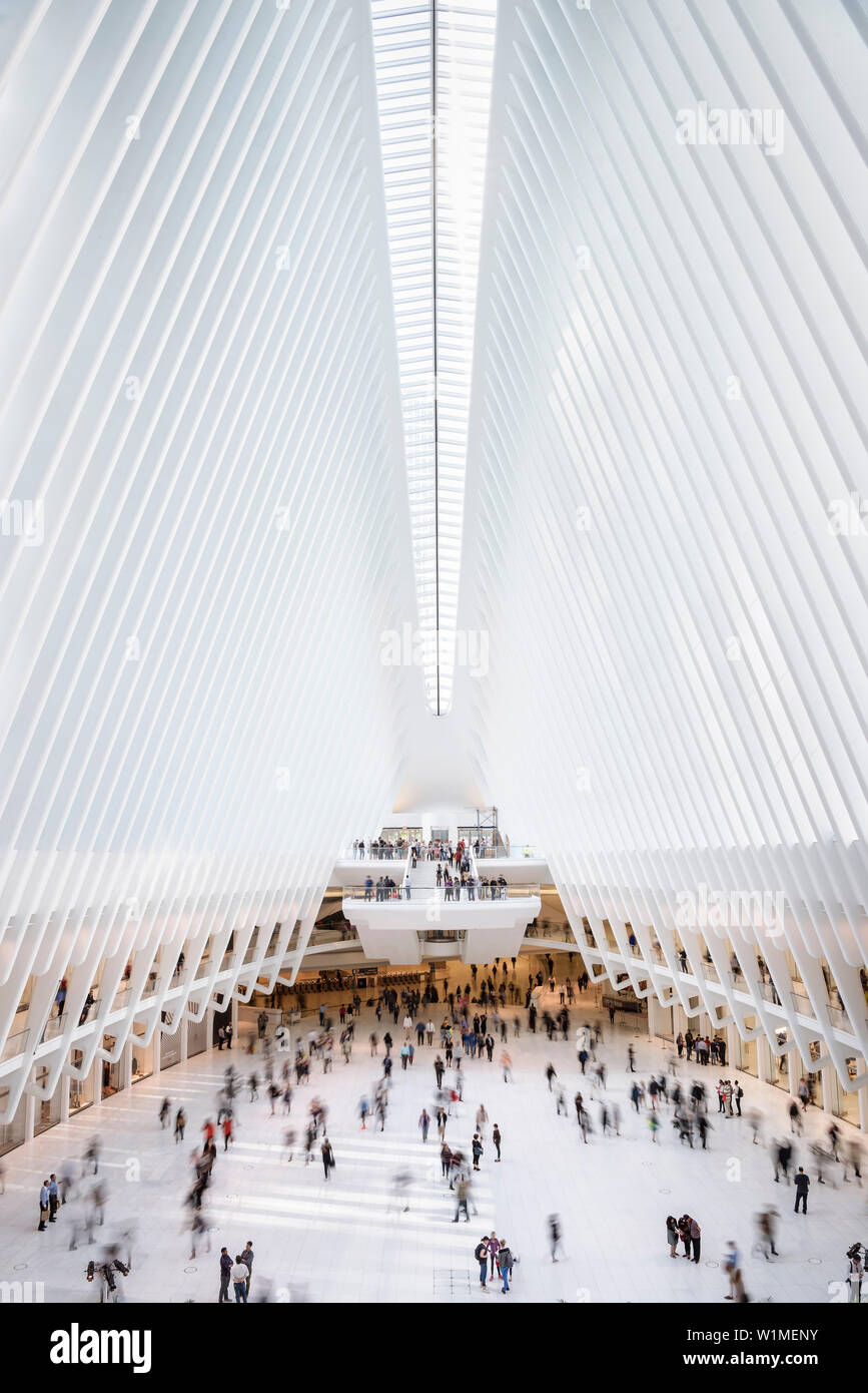 L'occhio, visualizza in basso a passeggeri, futuristica Stazione ferroviaria dal famoso architetto Santiago Calatrava accanto al WTC Memorial, Manhattan, New York City, U Foto Stock