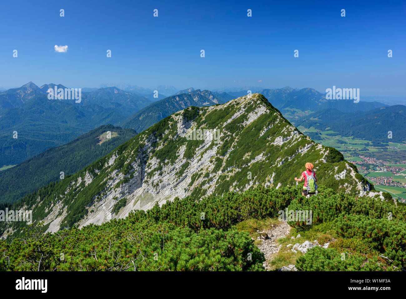 Donna escursionismo verso Gamsknogel, Zwiesel, Chiemgau Alpi, Alta Baviera, Baviera, Germania Foto Stock