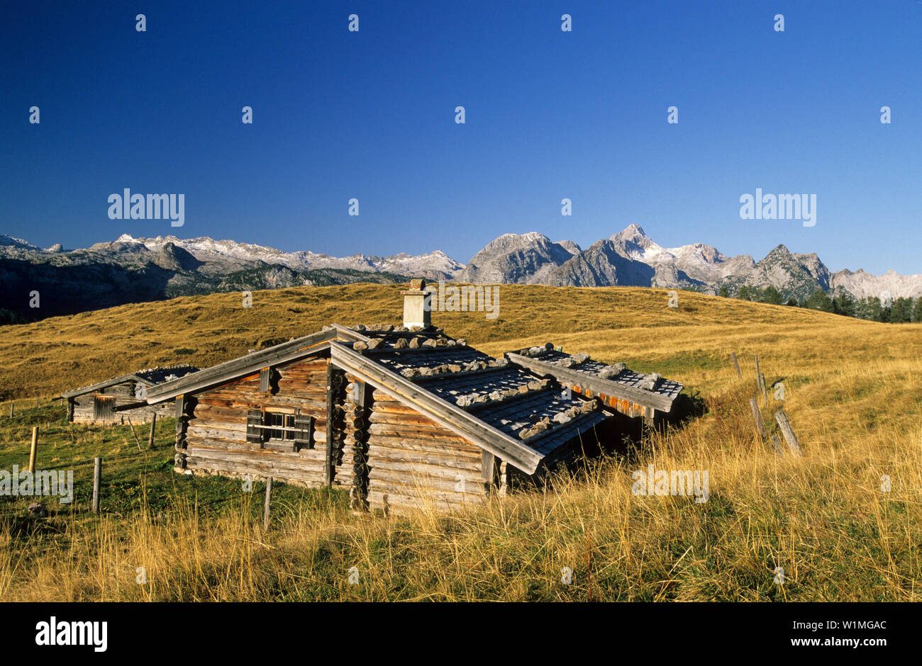 Rifugio alpino Gotzenalm, Steinernes Meer in background, gamma di Berchtesgaden, Berchtesgaden, Alta Baviera, Baviera, Germania Foto Stock